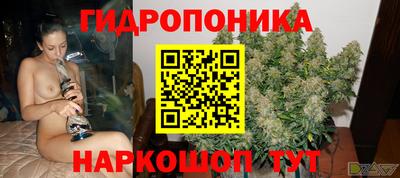 spice Рыбинск